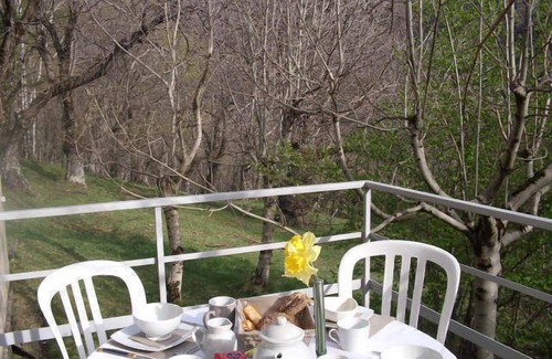 Pont-de-Montvert-Sud-Mont-Lozere House | In the heart of a chestnut grove