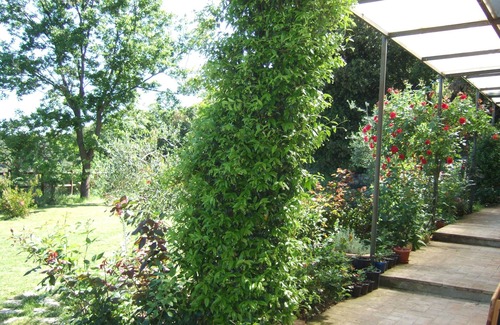 Palazzina Apartment | Francis House