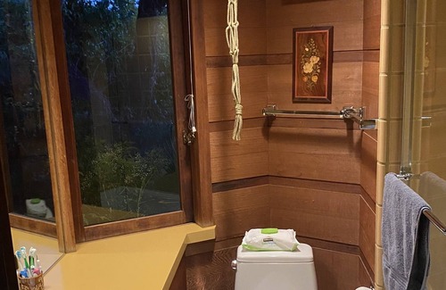 Modesto House | Frank Lloyd Wright Inspired Luxury Treetop Getaway