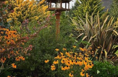 Dundee Bed & Breakfast | Franziska Haus