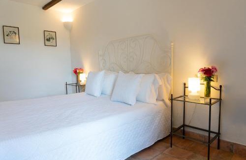 Grottaferrata Apartment | Frascati Country House