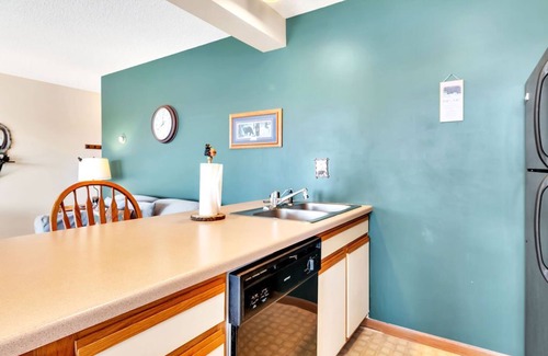 Indian Point Condo | Free Tickets, Cozy Condo, 5 minutes from Silver Dollar City, Table Rock Lake Views!