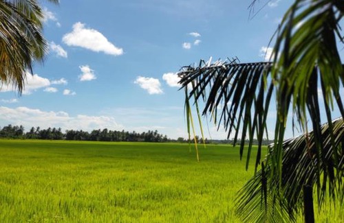 Hambantota House | Freedom in city stays Ambalantota