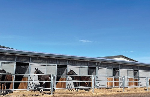 Neuhaus Other | Frei wie der Wind-Glamping