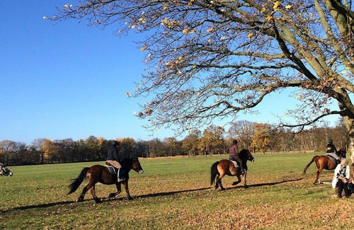 Neuhaus Other | Frei wie der Wind-Glamping