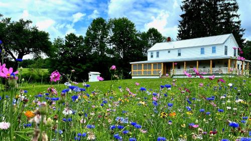 Fishs Eddy Bed & Breakfast | French Woods Farmhouse Bed & Breakfast