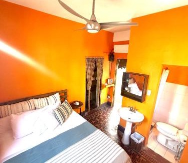 Parque Apartment | Fresh Tropical Colonial Style Walk-Up- Rooftop Terrace- Beach View
