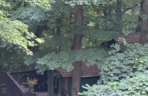 Danbury Cabin | Freshly renovated cabin in lovely Danbury-Full Bath-Kitchen-Open Deck-WiFi