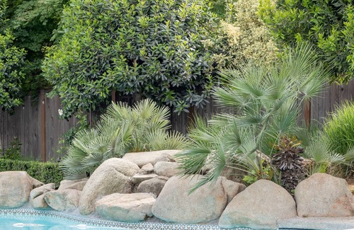 Raisin House | Fresno House: Pool, Game Room, King Suite, 4:2.5!