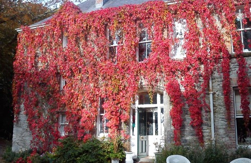 Ramelton Bed & Breakfast | Frewin Country House