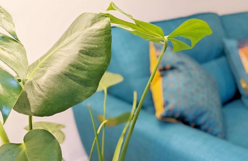 Chichester House | Friary Lane, Chichester