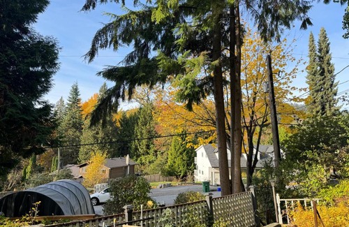 Burnaby House | Friendly and cozy home with separate entrance No Pets Allowed