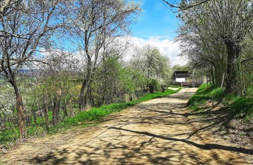 Valea Mare-Pravat Other | Friendship Cabin (Friendship Land)