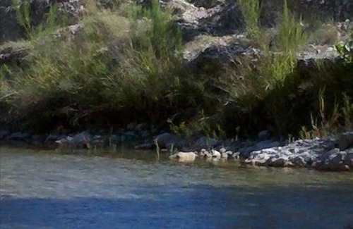 Rio Frio House | Frio River, Furnished Home, Birdwatcher's Paradise