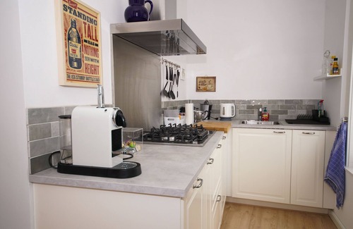 Municipality of Haarlem Apartment | From spacious apartment looking across water to historic center of Haarlem