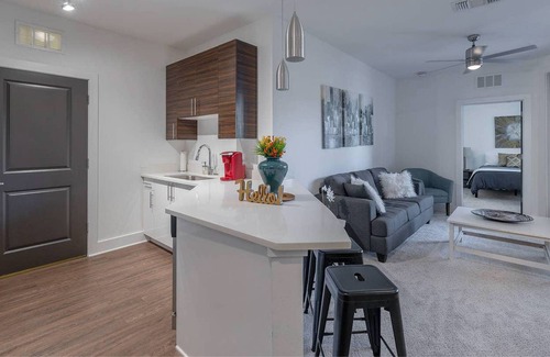 North Hyde Park Apartment | FRONTDESK NoHo Flats at North Hyde Park Apts Tampa