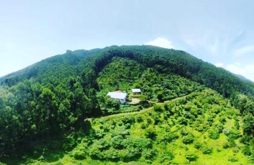 Vattavada House | Fruit land resort