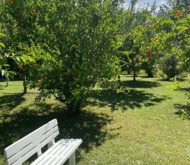 Danilovgrad Villa | Frutak Villa Resort