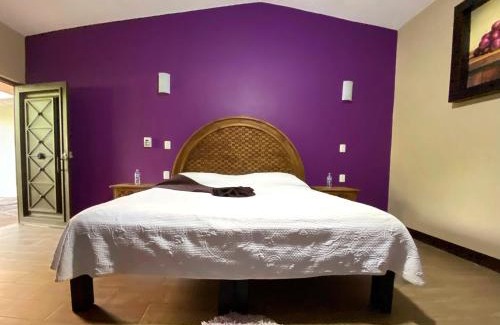 Ameca Hotel | Frutos Hotel