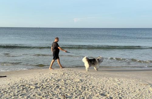 Surf Side Shores House | Ft Morgan Bama Belle-Beach Access