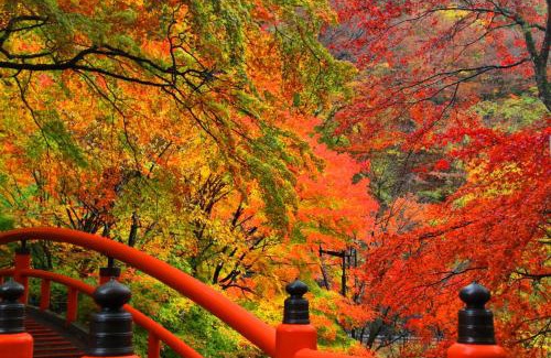 Ikahomachi Ikaho Hotel | Fukuichi