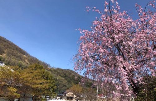 Isawa Onsen House | Fukurou no Oyado - Vacation STAY 71246v