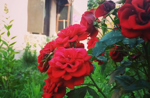 Fierbinti-Targ House | Full House near Bucharest