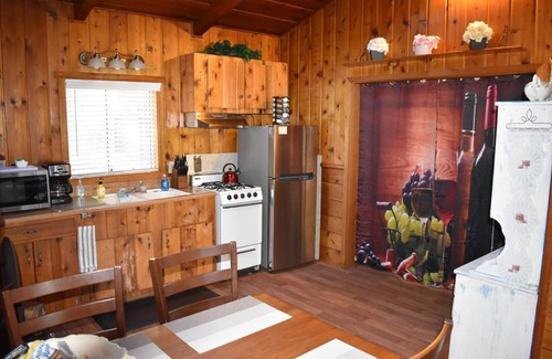 Idyllwild Cabin | Fully fenced backyard for pets. Pets stay free!