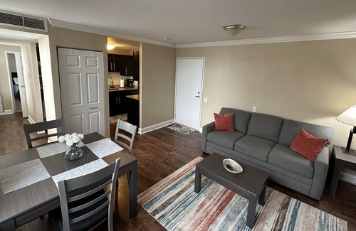 Saginaw Apartment | Fully Furnished 1 Bedroom Apartment.