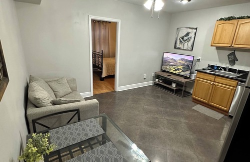 Lower Garden District Apartment | Fully furnished. we provide all utilities wifi and gated parking. pet friendly