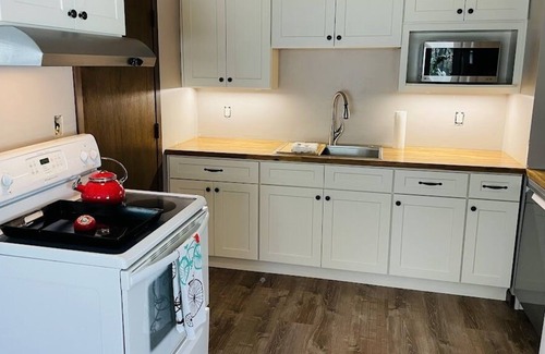Nisswa House | Fully Renovated Nisswa 2 BD Home