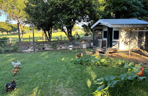 Wandal Apartment | Fully self contained studio unit under family home close to Showgrounds