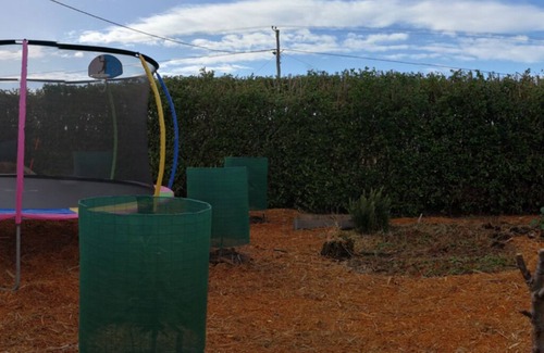 Currie House | Fun Family House King Island