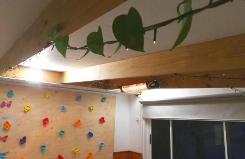 Currie House | Fun Family House King Island
