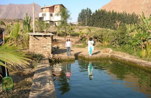 Quives Cabin | Fundo Huabayor, experiential tourism in the countryside