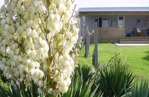 Otaki Beach House | Funky 50's beach house