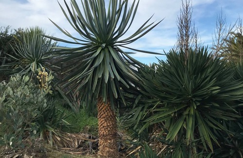 Otaki Beach House | Funky 50's beach house