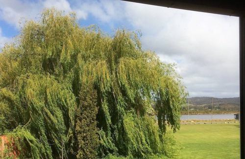 Franklin Apartment | Funky Flat in Franklin.Self Contained accommodation on the Huon River.