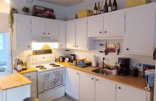 Pointe-Saint-Charles Apartment | Funky unique downtown Montreal 2-bedroom (Old Port, Griffintown)