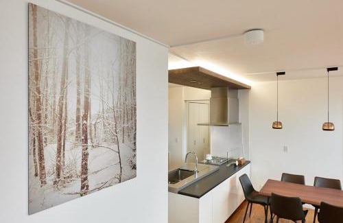 Furano Villa | furano frame