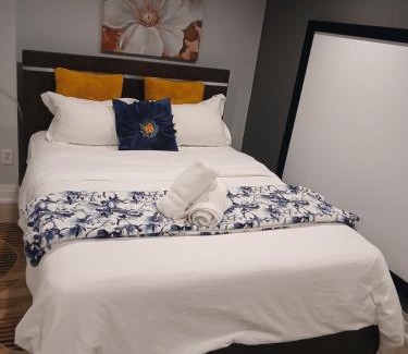 Lisgar Apartment | Furnished calm basement studio apartment