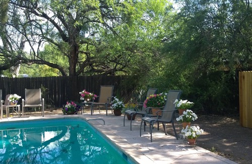 Tanque Verde Cabin | Furnished Casita on 10.5 Acre Guest Ranch in Tucson! Internet and full kitchen!