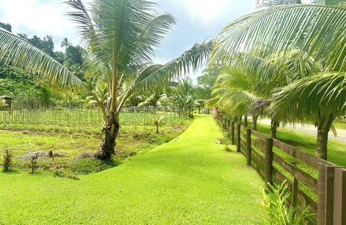Northern Division Villa | Furnished Modern Farm Flat Tuvurara Savusavu