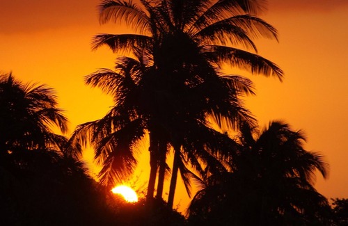 Saint-Andre Hotel | Furnished villa with garden and trees, near the Indian Ocean with Jacuzzi