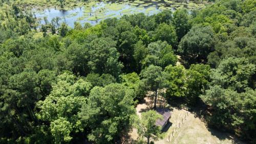 St. Stephen Other | Futuristic Pod Glamping Retreat with Pond Views in South Carolina