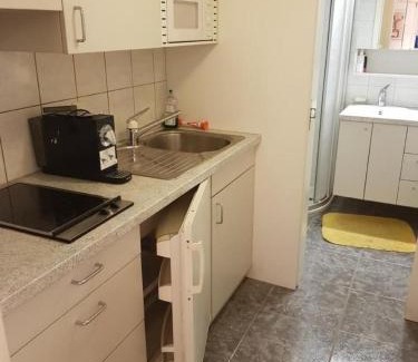 Brunnen Apartment | Fw Bacheggli
