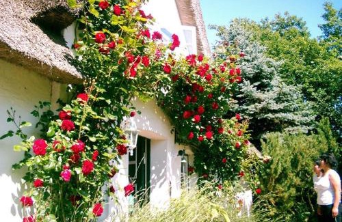 Tating House | Gästehaus Andresen-Warft