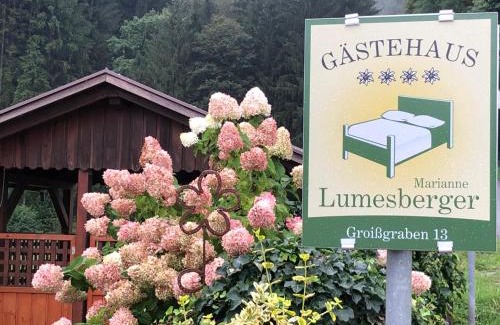 Grein Apartment | Gästehaus Lumesberger