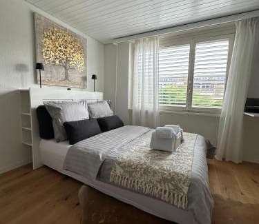 Schonenwerd Apartment | Gästehaus MaryVitty, zentrale zwischen Aarau und Olten, gut verbunden