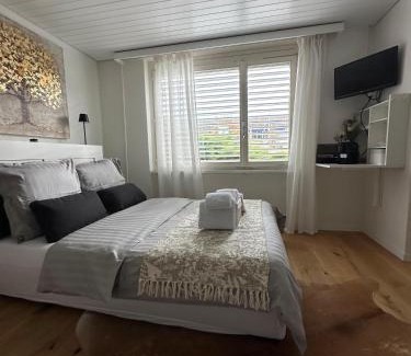 Schonenwerd Apartment | Gästehaus MaryVitty, zentrale zwischen Aarau und Olten, gut verbunden